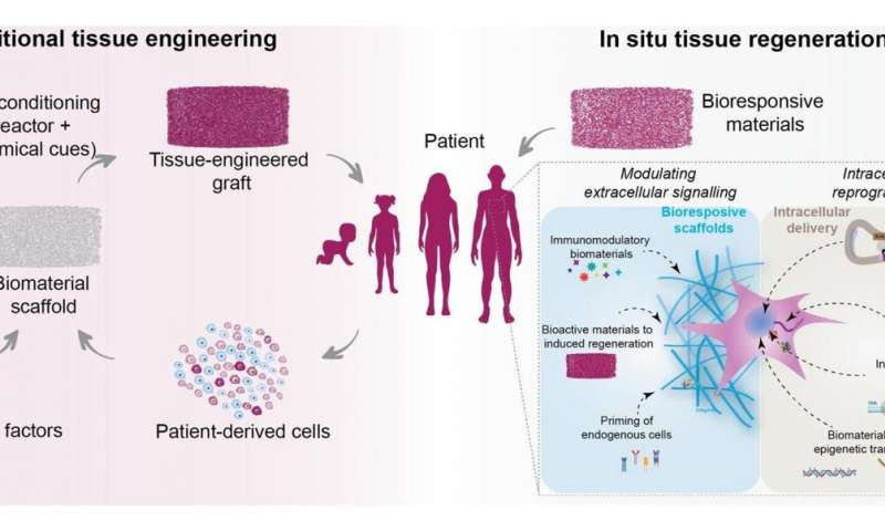 Regenerating the body from within using biomaterials