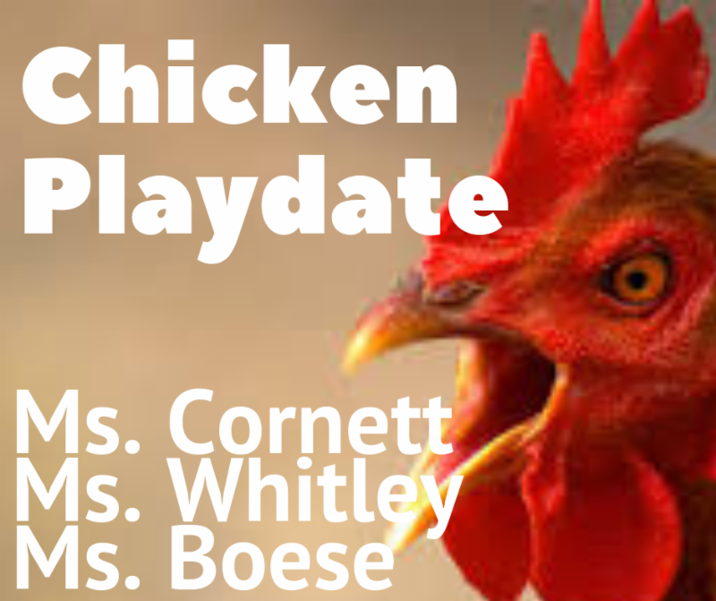 2018 Chicken Playdate 