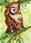 Morning Owl - Posted on Thursday, December 11, 2014 by Monique Morin Matson