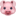 🐷