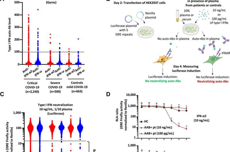 Understanding the variability in responses to COVID-19 illness in older adults