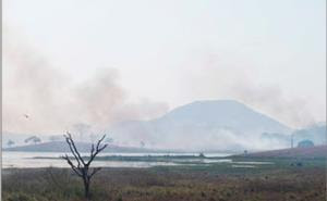 Incendio forestal en Ceará debido a la prolongada sequía que afectó la Región Nordeste a consecuencia del cambio climático. /José Pedro Soares Martins