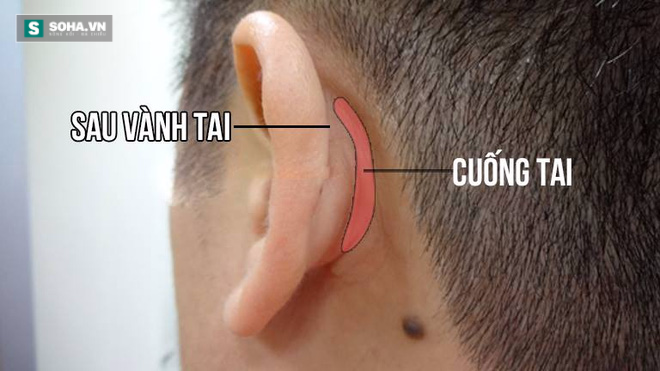 Hạ huyết áp chỉ trong 5 phút cực đơn giản mà không cần thuốc - Ảnh 2.