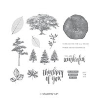 Rooted In Nature Cling-Mount Stamp Set