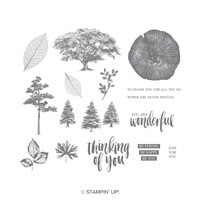 Rooted In Nature Cling-Mount Stamp Set Rooted In Nature Cling-Mount Stamp Set