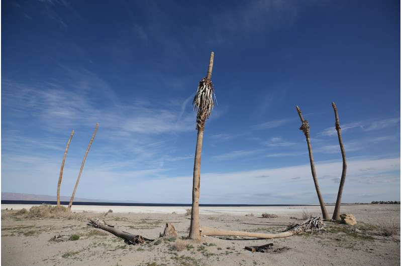 Salton Sea aerosol exposure triggers unique and mysterious pulmonary response