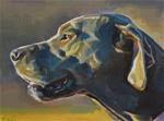 Dog in Sunlight - Posted on Friday, January 23, 2015 by Taryn Day