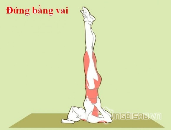 bài tập gia tăng chiều cao 6 chiều cao, gia tăng chiều cao, môn thể thao tăng chiều cao, tăng chiều cao, môn thể thao