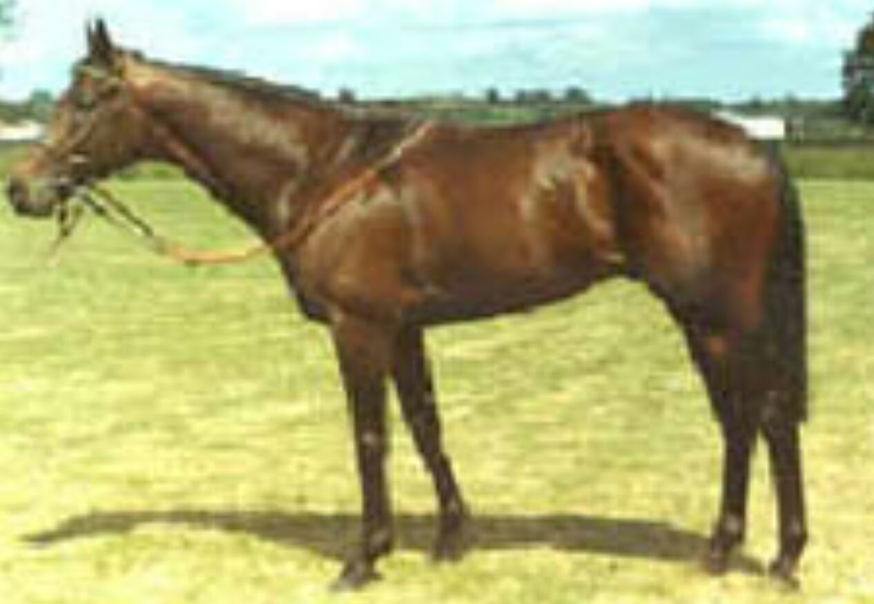 Mill Reef