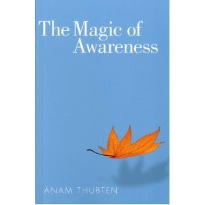 The Magic Of Awareness by Anam Thubten