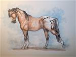 STRETCHING RED BAY APPALOOSA  Draw 02 - Posted on Wednesday, January 7, 2015 by Sheri Cook