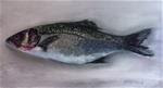 Slovenian Branzino - Posted on Tuesday, January 13, 2015 by Cristine Kossow