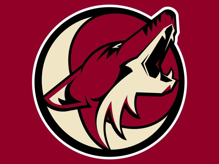 37f42f2dbb4dc8e83dfcb577aa0c7eff--glendale-arizona-arizona-coyotes