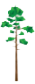logoambiente
