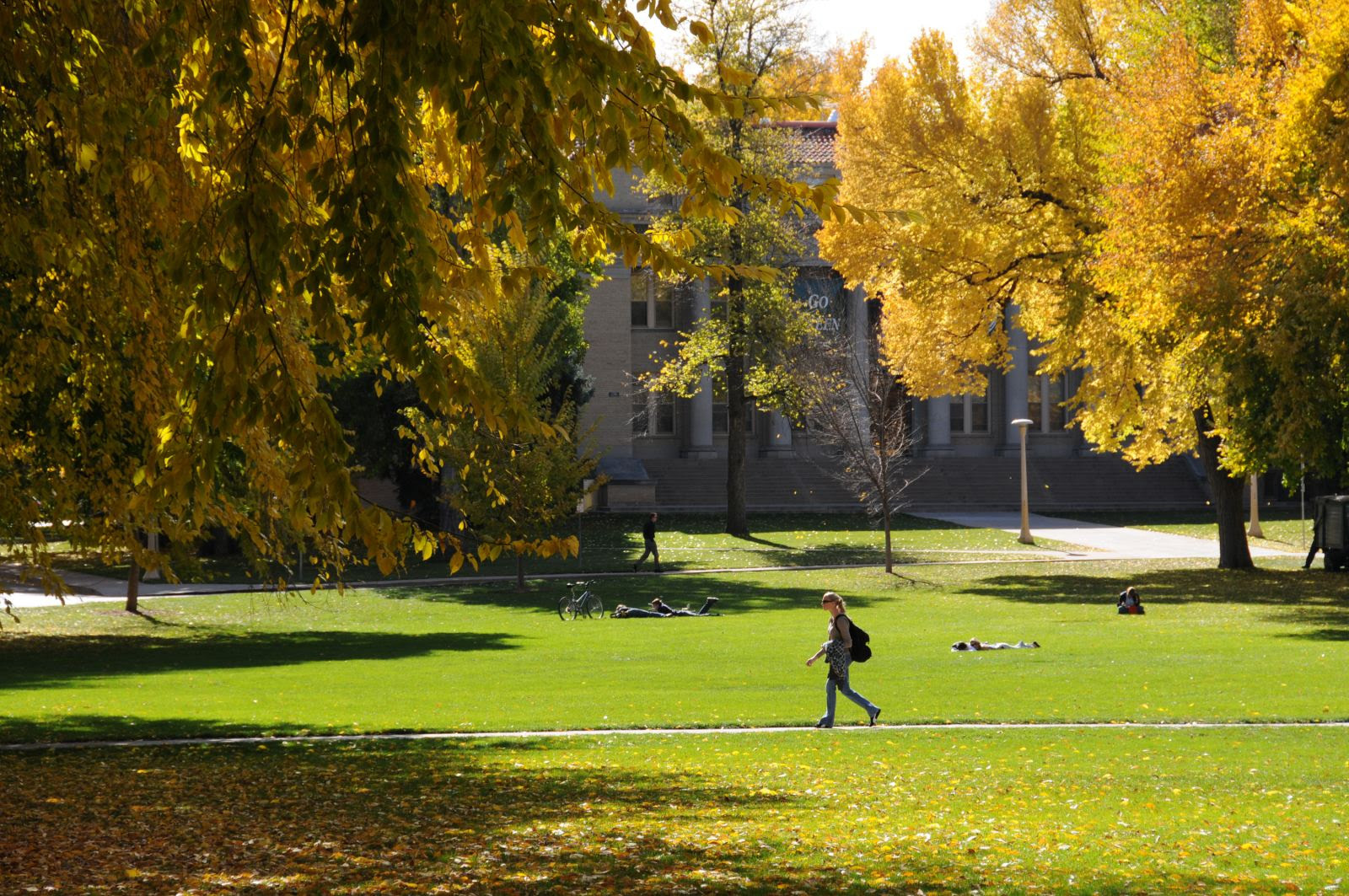 The Oval in autumn
