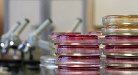 Photo of microscopes and vials of organisms