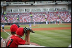 The figure above is a photograph of a boy watching a baseball game.