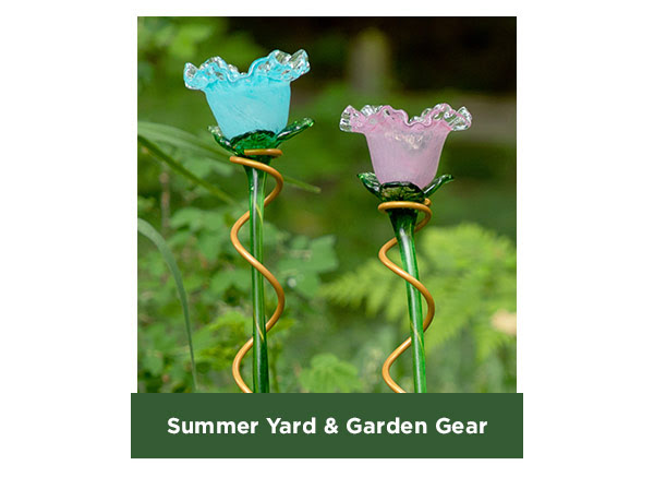 Summer Yard & Garden