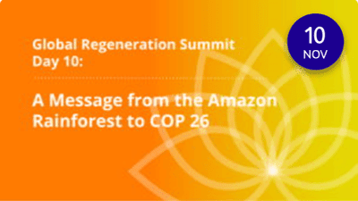 Day 360: A Message from the Amazon Rainforest to COP 26