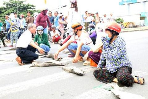 Người dân mang xác cá chết đổ ra quốc lộ, đường đi Vũng Tàu tắc nghẽn - ảnh 3