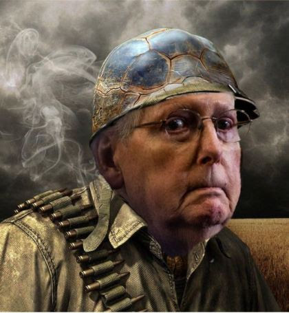 mitch mcconnell turtle