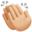 👏🏼