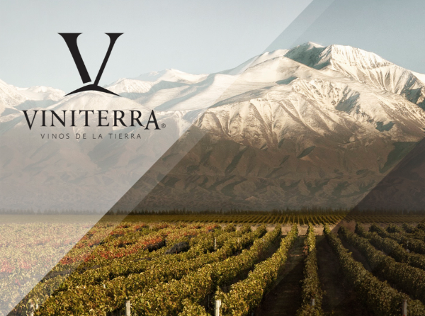 Viniterra vineyard at base of snowy mountain - producer of Malbec Special Edition by Viniterra 2018  