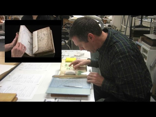 Russian Mathematicians Solve the Mysterious Voynich Manuscript Sddefault