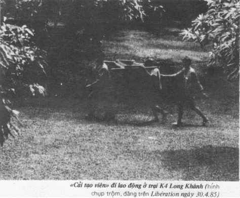 (Ảnh minh hoạ)