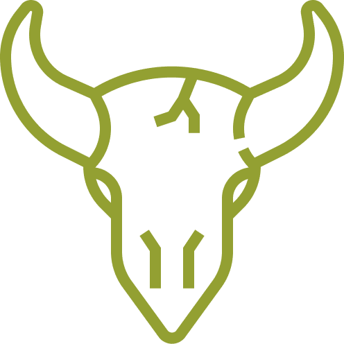 longhorn skull icon