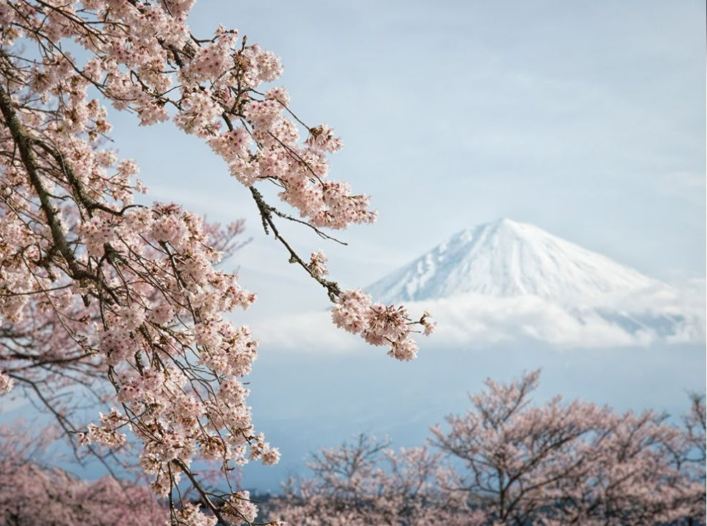  Best pictures of the year f-rom National Geographic