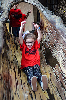 young girl goes down tree slide at Outdoor Adventure Center
