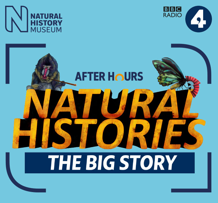 All About London: Natural History Museum - Join Us For The Finale Event ...