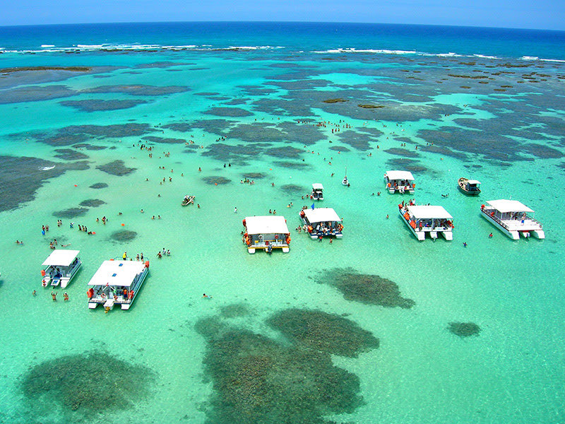 Para onde ir nos feriados: As incríveis piscinas naturais de Galé em Maragogi Para onde ir nos feriados: As incríveis piscinas naturais de Galé em Maragogi