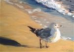 Seabirds 7 - Posted on Tuesday, January 6, 2015 by Debra Kennedy