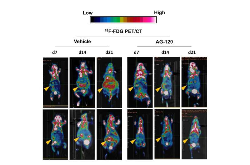 Existing cancer therapy in narrow use shows significant activity against other cancers