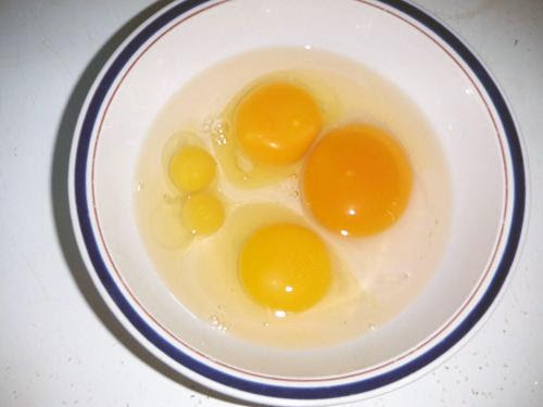 Are Ducks the New Chicken for Backyard Protein? Cs962-53106ec5-cdda-4c05-8a57-9a90f19e0d60-v2