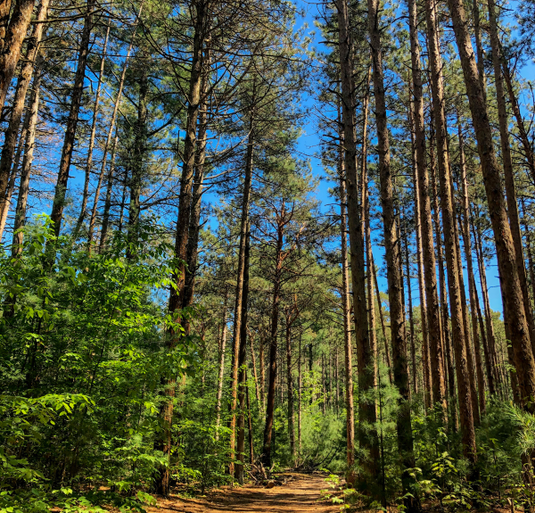 Saugatuck Dunes SP