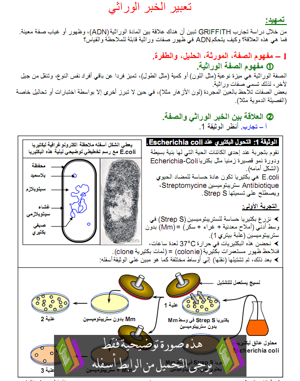 درس تعبير الخبر الوراثي في مادة علوم الحياة والأرض – الثانية باكالوريا علوم فيزيائية Taabir-alkhabar-alwirati