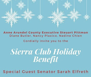 Join our Holiday Benefit with Senator Sarah Elfreth!