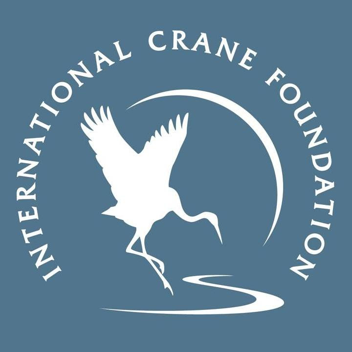 ICF