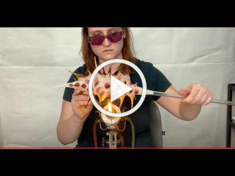 Flameworking Demo- 玻璃节肢动物- Madeline Rile Smith- 国际灯饰玻璃艺术节
