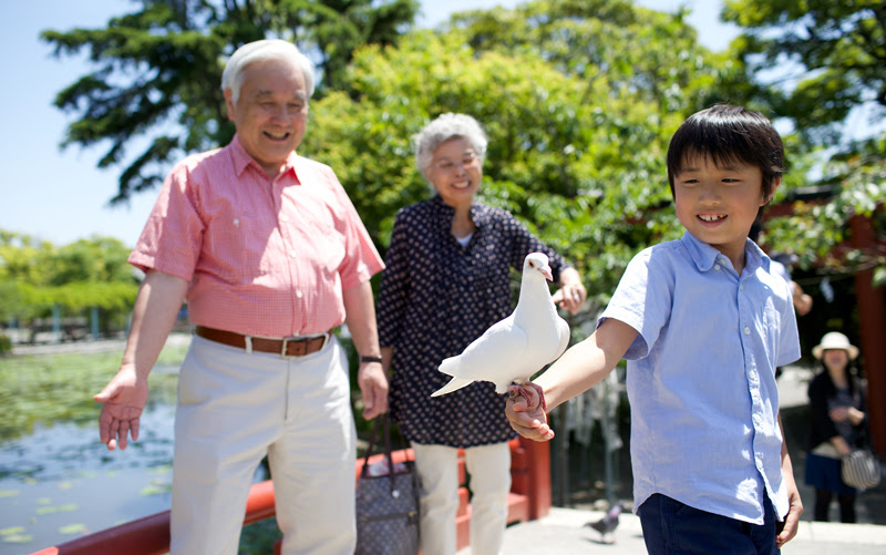 A Japanese grandfather with his grandson, who is holding a pigeon. 
