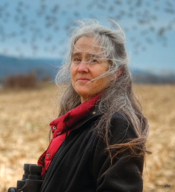 Anne B. Clark, associate professor of Biological Sciences photographed in a field in Ithaca, NY, December 01, 2012.