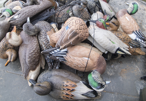 Duck decoys