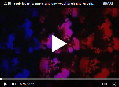 Cool Videos: Making Multicolored Waves in Cell Biology Cool Videos: Making Multicolored Waves in Cell Biology