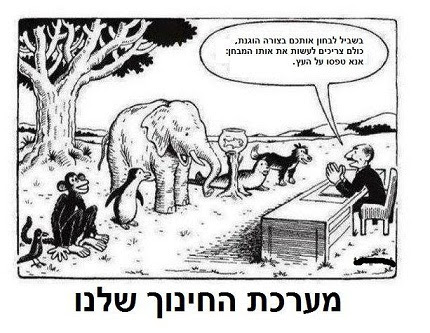 education-system