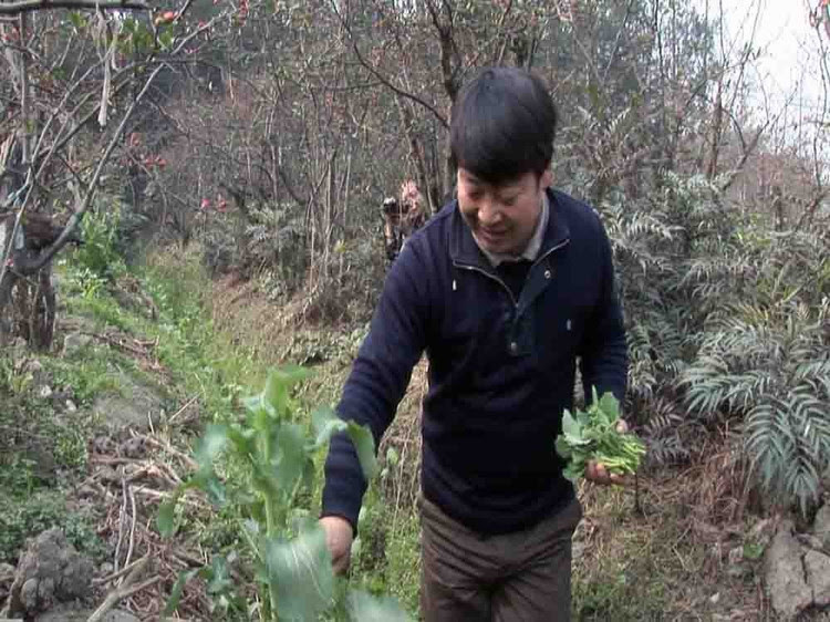 点击鼠标,在新窗口打开原图