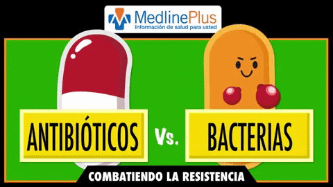 imagen del video antibioticos versus bacterias, combatiendo la resistencia