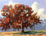 Fall Tree - Posted on Saturday, November 15, 2014 by Linda Blondheim